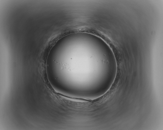 X0000111181447200907011400