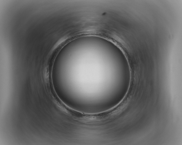 X0000111181450200907011400