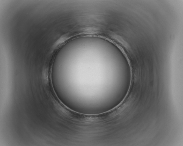 X0000111181451200907011400