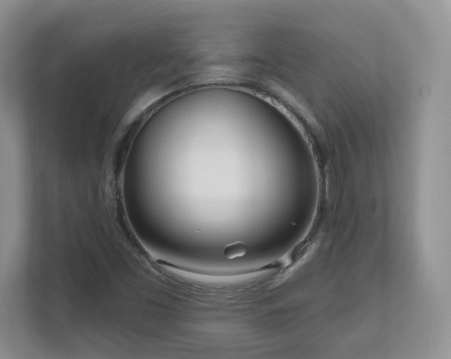 X0000111181453200907011400