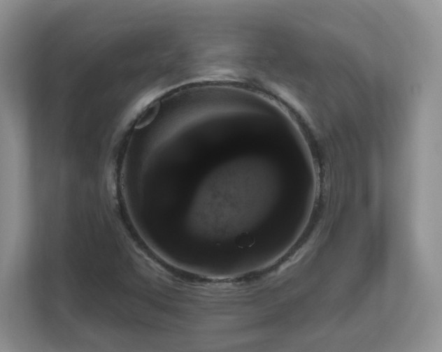 X0000111181455200907011400