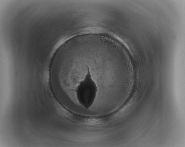 X0000111181459200907011400