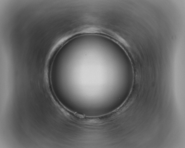 X0000111181464200907011400