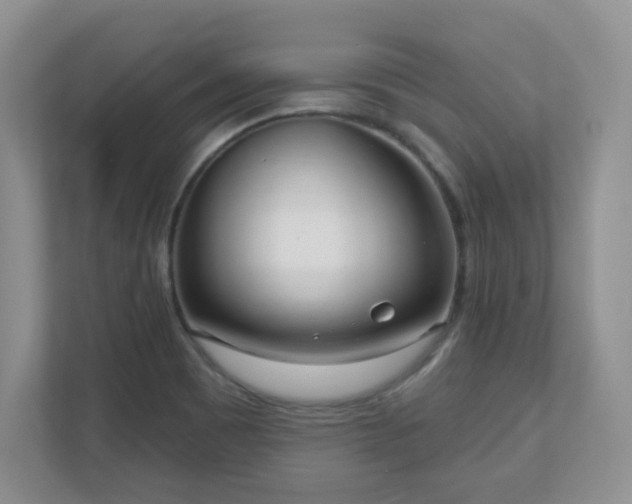 X0000111181465200907011400