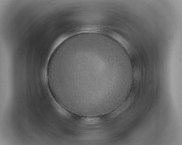 X0000111181466200907011400