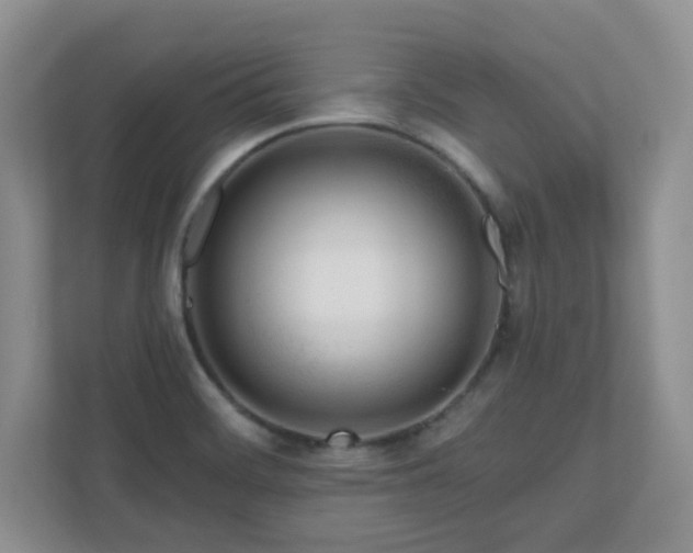 X0000111181468200907011400