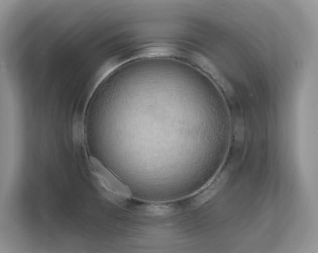 X0000111181473200907011359