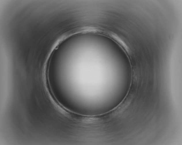 X0000111181475200907011359