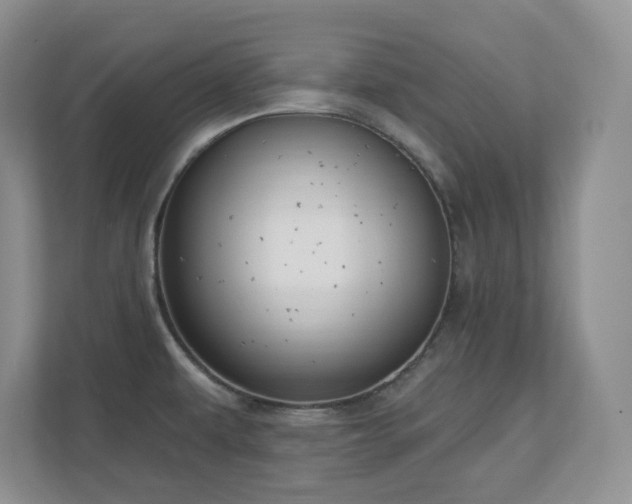 X0000111181479200907011359