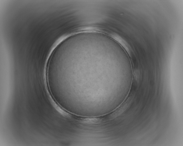 X0000111181482200907011359
