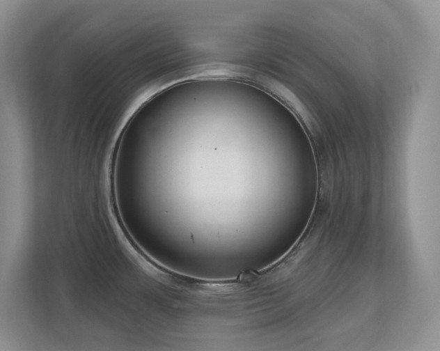 X0000111181483200907011359