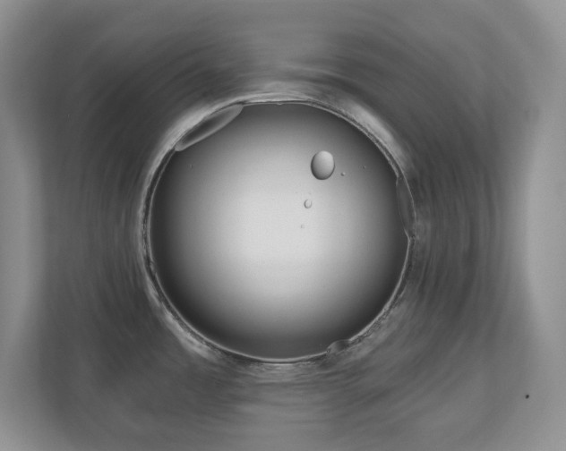 X0000111181485200907011359