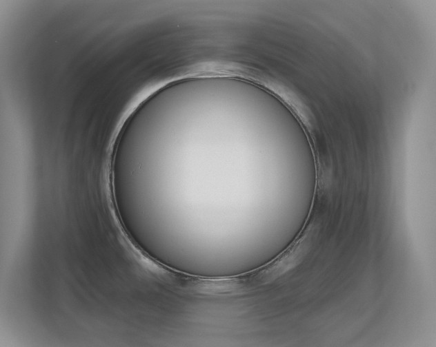 X0000111181486200907011359