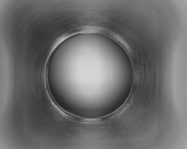 X0000111181487200907011359