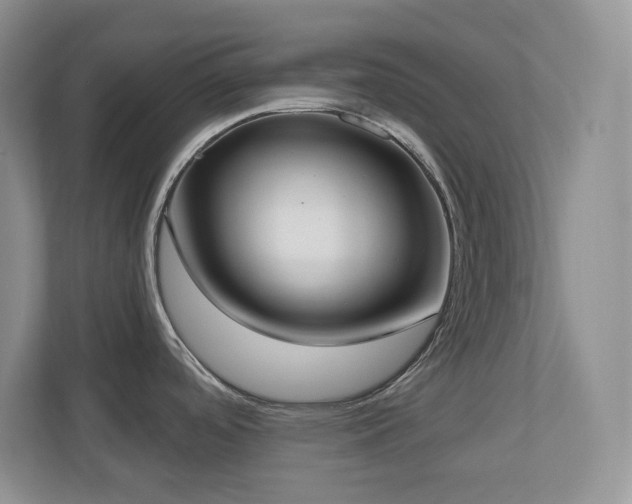 X0000111181488200907011359