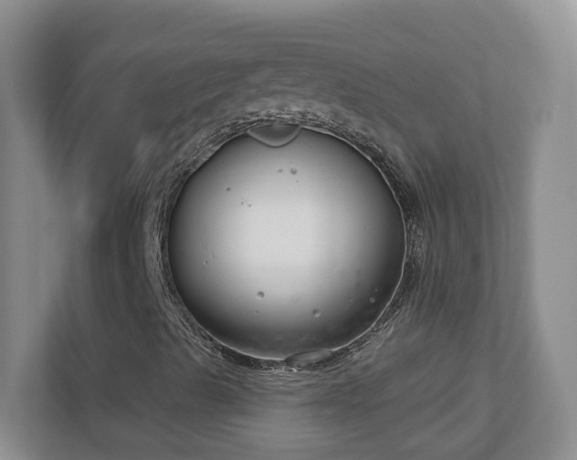 X0000111181489200907011359