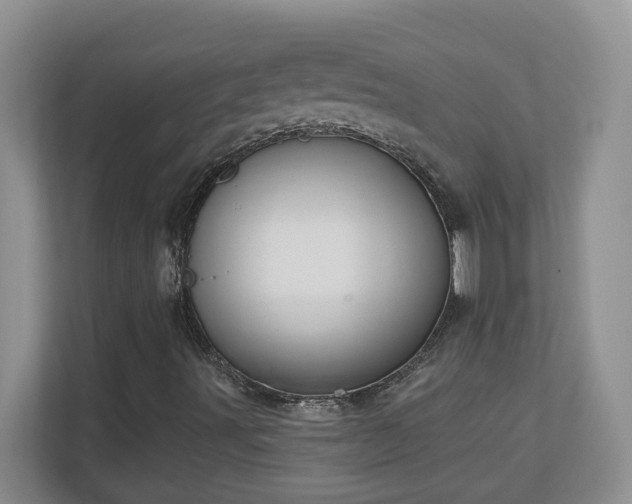 X0000111181491200907011359