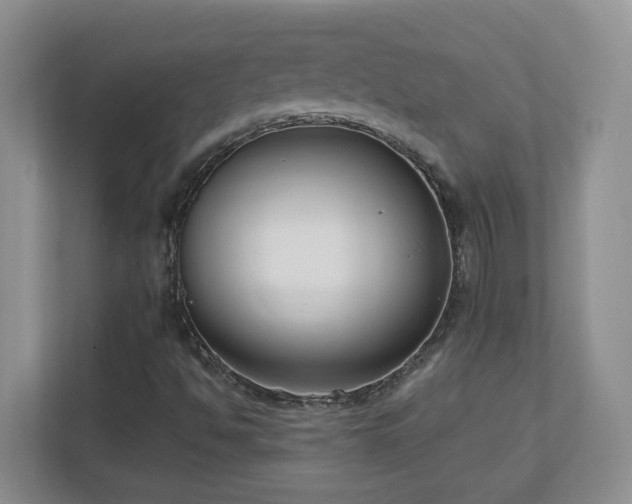 X0000111181494200907011359