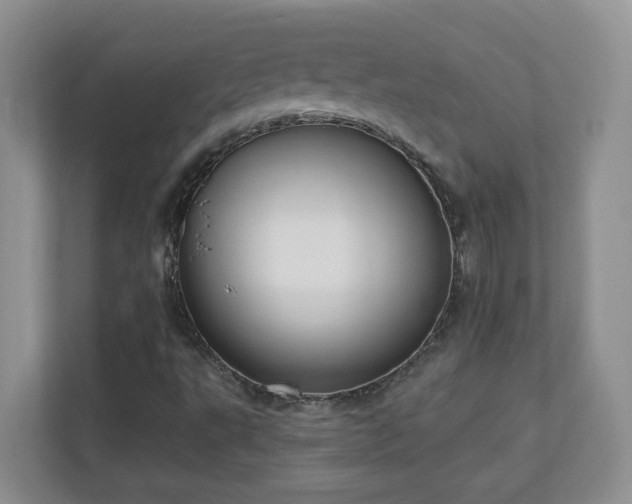 X0000111181495200907011359