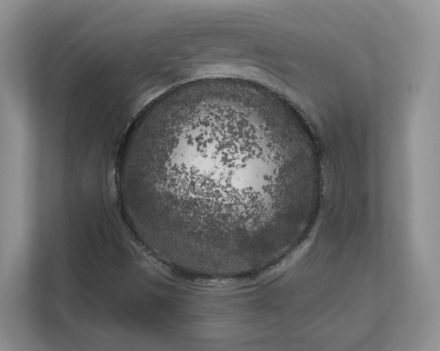 X0000111181497200907011359