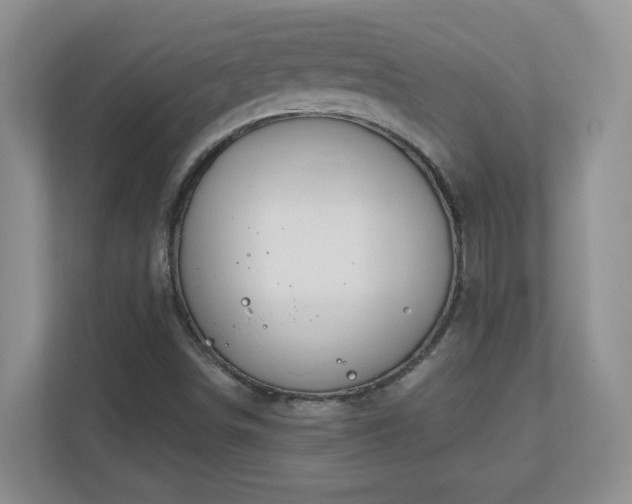 X0000111181498200907011359