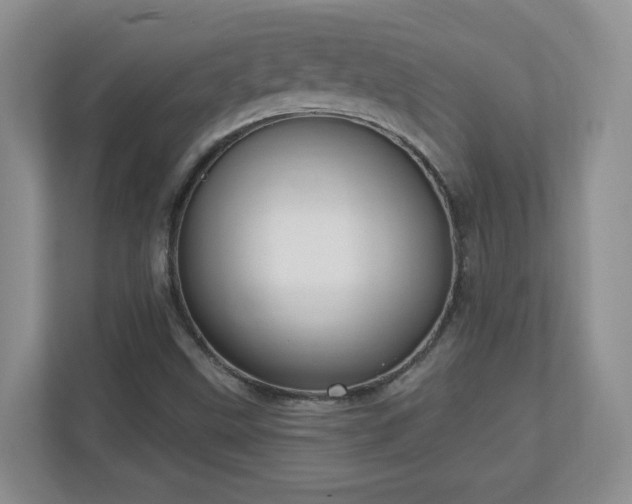 X0000111181499200907011359