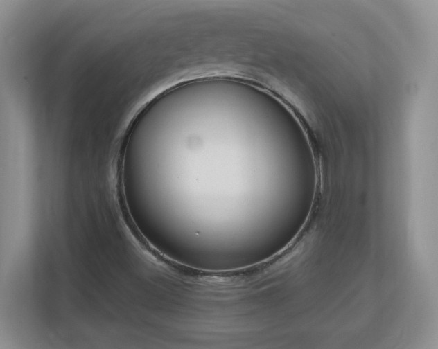 X0000111181500200907011359