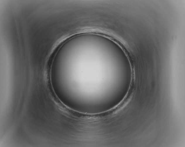 X0000111181501200907011359