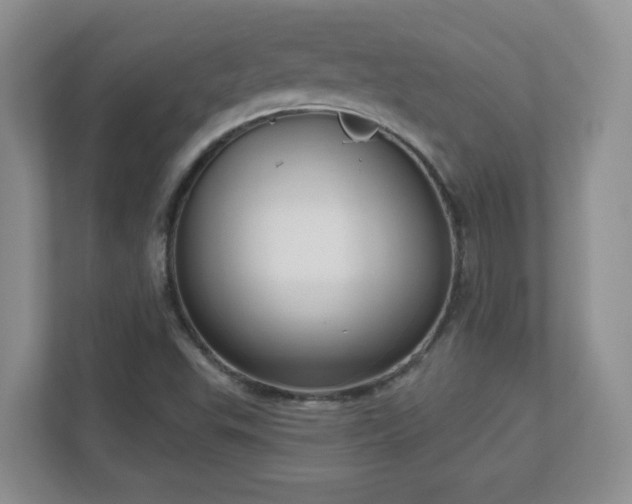X0000111181503200907011359