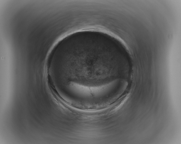 X0000111181506200907011359