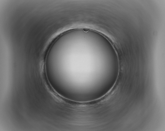 X0000111181507200907011359