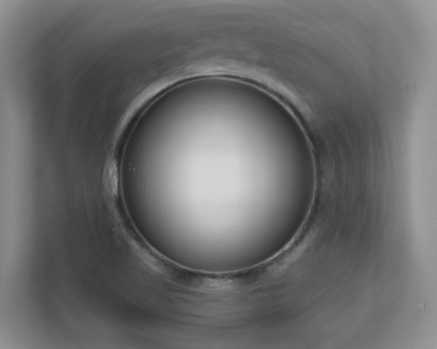 X0000111181509200907011359