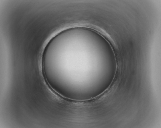 X0000111181512200907011359