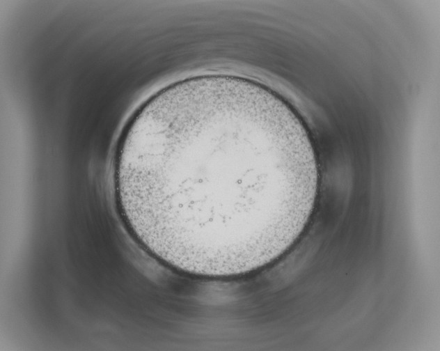 X0000111181514200907011359