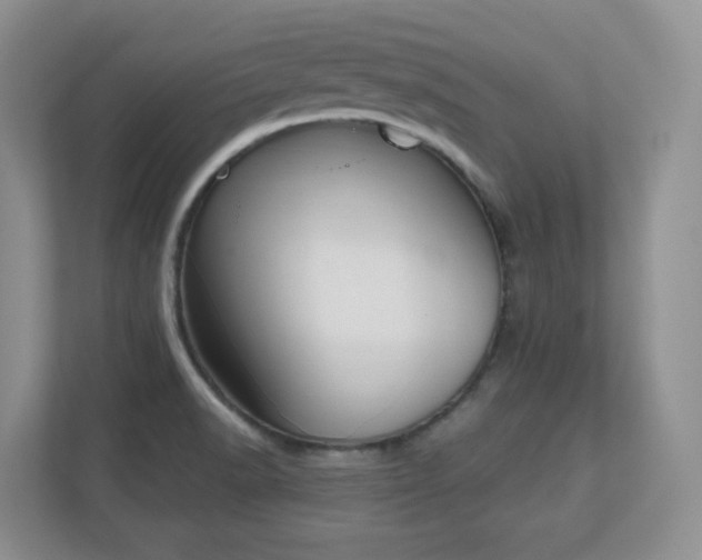 X0000111181518200907011359