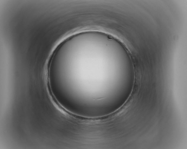 X0000111181519200907011359