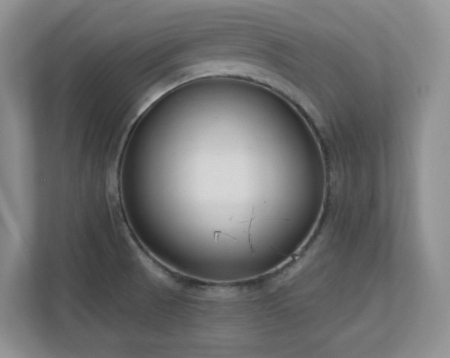 X0000111181521200907011359