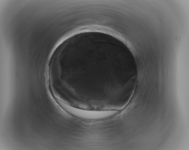 X0000111181522200907011359
