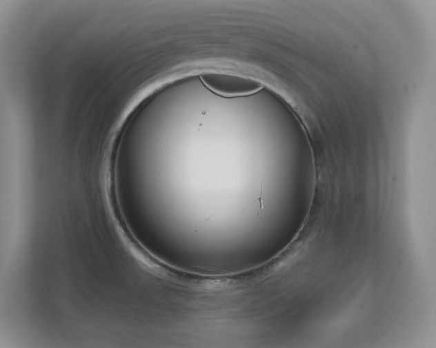 X0000111181523200907011359