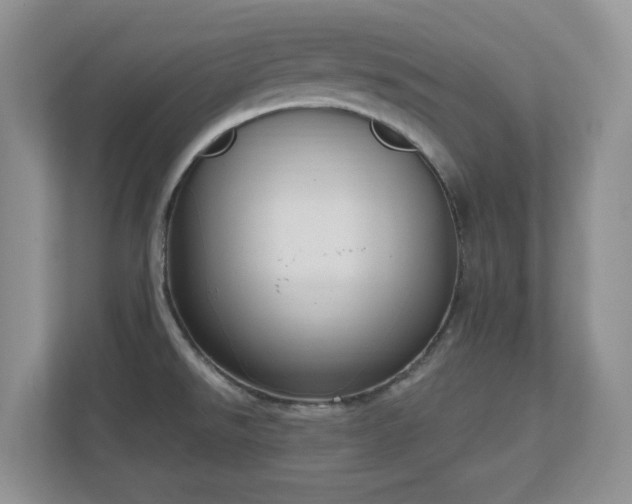 X0000111181526200907011359