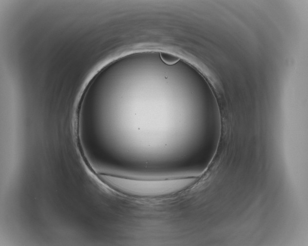 X0000111181527200907011359