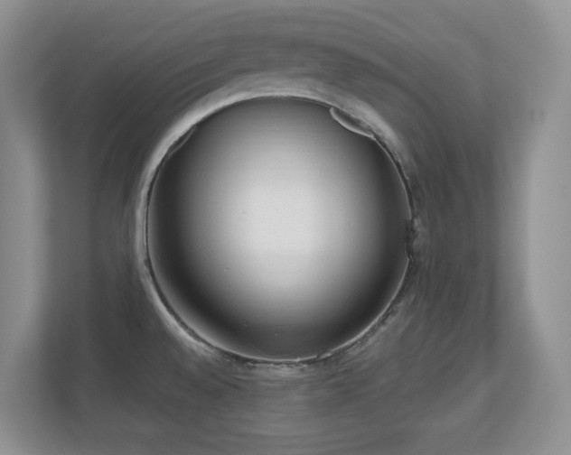 X0000111181528200907011359