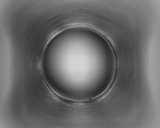 X0000111181529200907011359