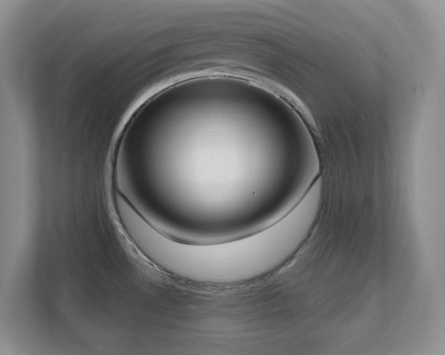 X0000111181530200907011359