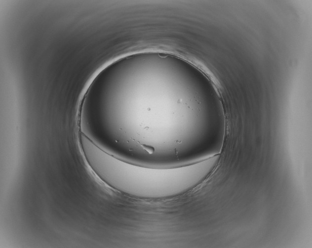 X0000111181532200907011359