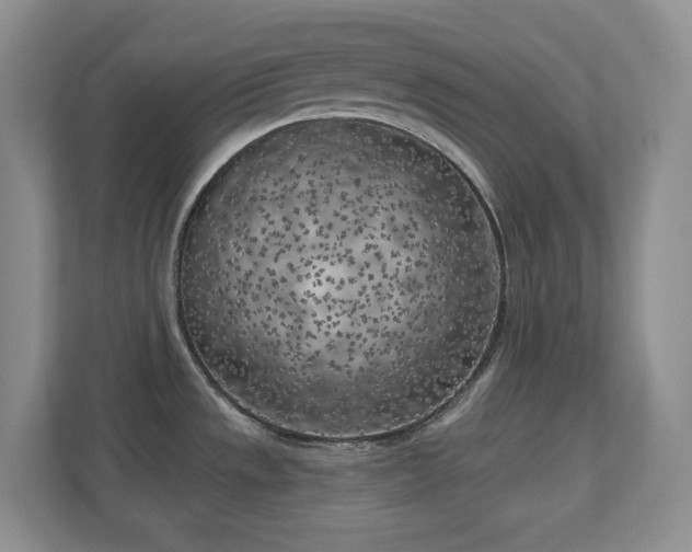 X0000111181533200907011359