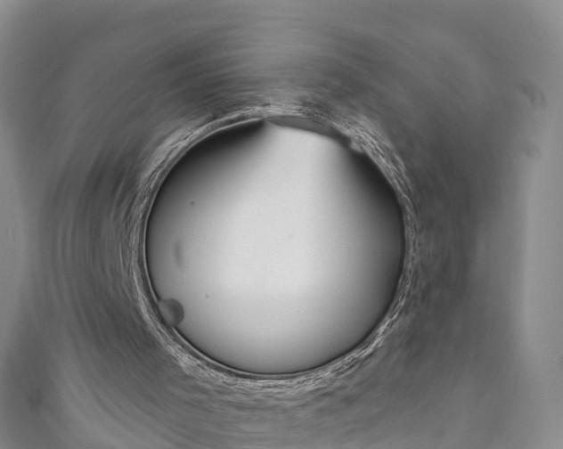 X0000111180001200907081245