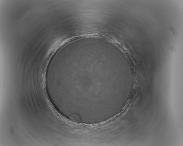 X0000111180002200907081245