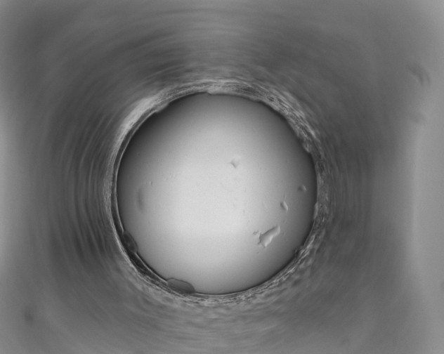 X0000111180003200907081245