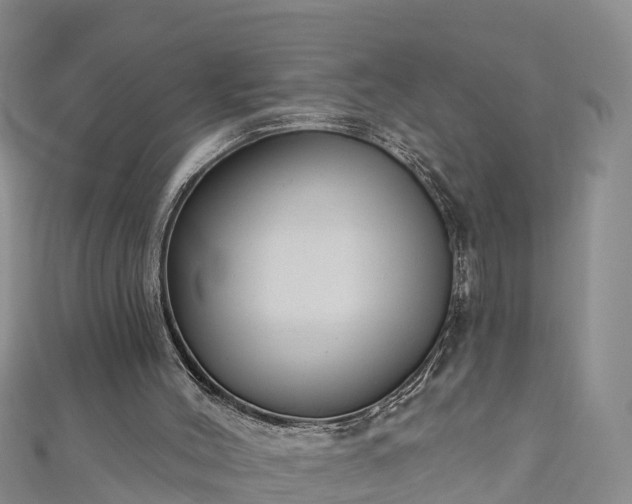 X0000111180004200907081245